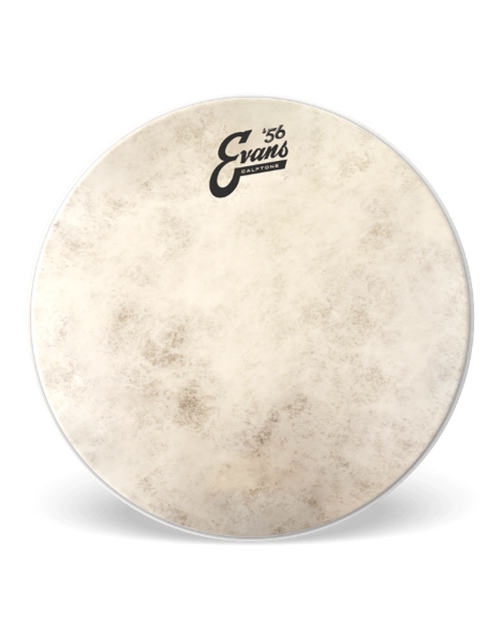 EVANS Calftone 14" Snare Head TT14C7